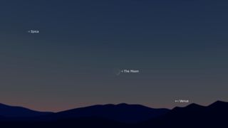 graphic illustration showing Spica in the upper left corner, the moon in the center and then Venus in the lower right corner.