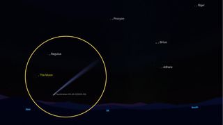 graphic illustration showing the location of the comet in the predawn sky.